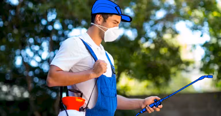 Pest Control Cost in Brisbane